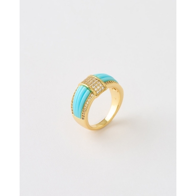 ANILLO ACANALADO CIRCONITAS... 2