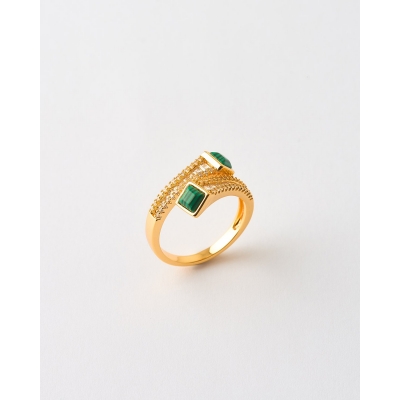 ANILLO BYPASS DOBLE INSERTO... 2