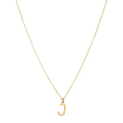 Collar Acero 38+4cm Inicial...