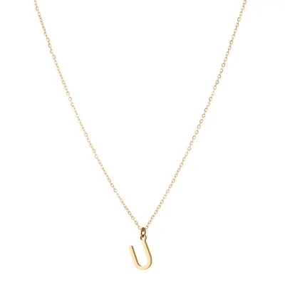 Collar Acero 38+4cm Inicial...