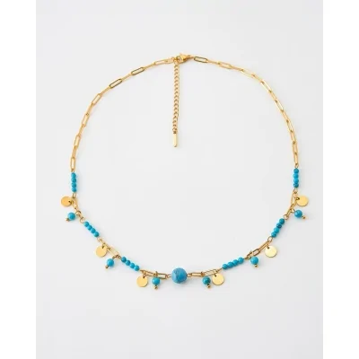 Collar Acero Chapas Y...