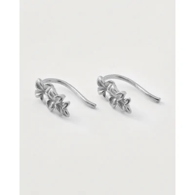 PENDIENTE PLATA TREPADOR...