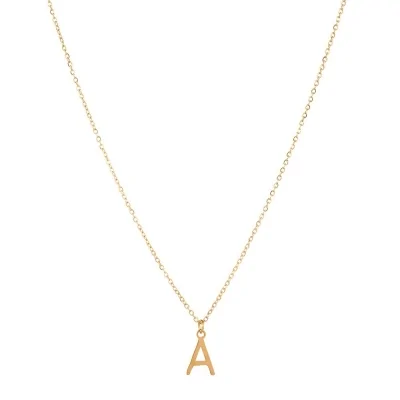 Collar Acero 38+4cm Inicial...