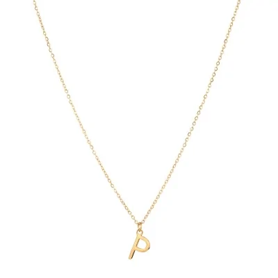 Collar Acero 38+4cm Inicial...