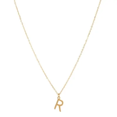 Collar Acero 38+4cm Inicial...