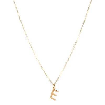 Collar Acero 38+4cm Inicial...