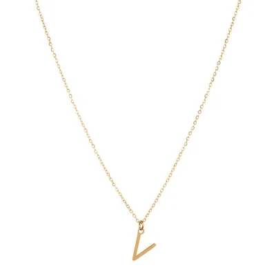 Collar Acero 38+4cm Inicial...